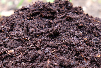 Compost